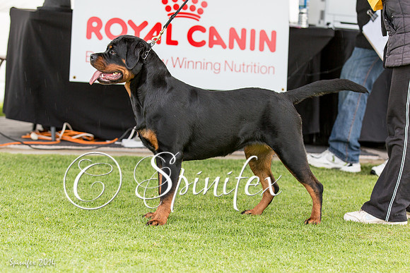 RCSAJ2014-5408