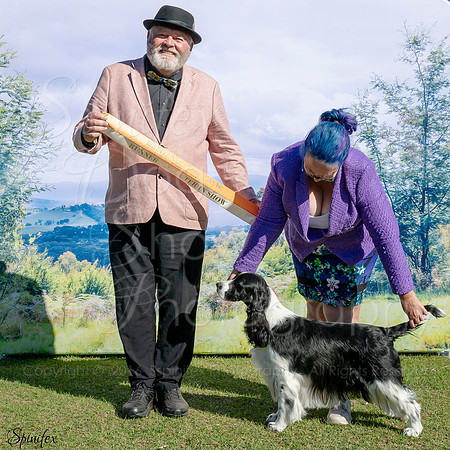 SfxY-1259