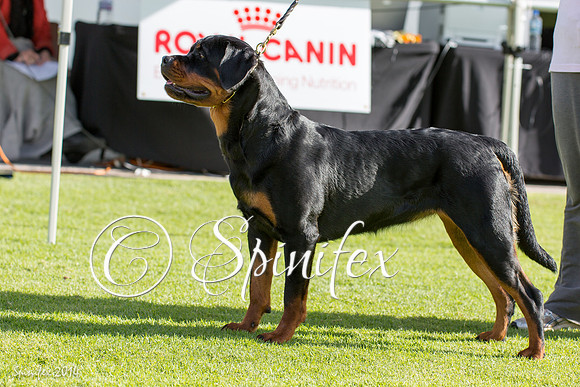 RCSAJ2014-5583