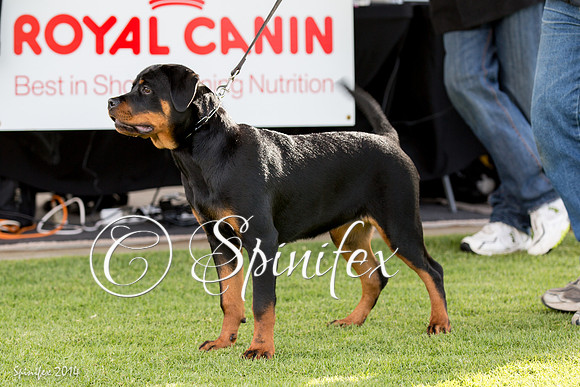 RCSAJ2014-5370