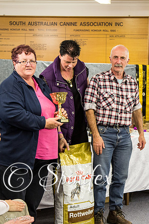 RCSAJ2014-6640