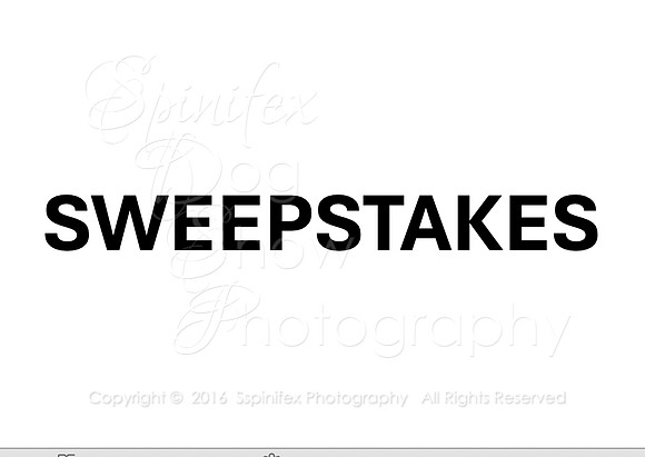 Sweepstakes