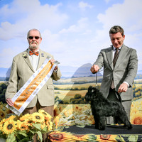 SfxP-5375