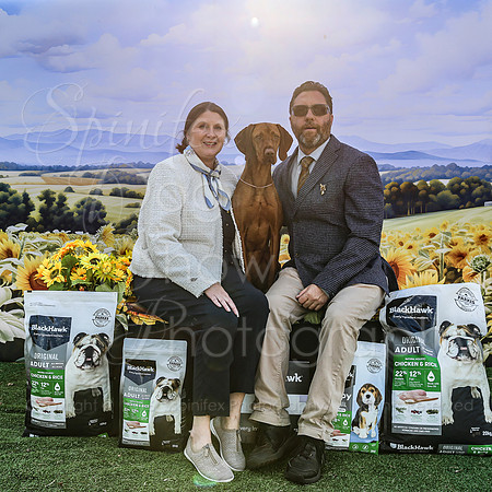 SfxP-5906