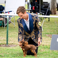 SfxJ-1526