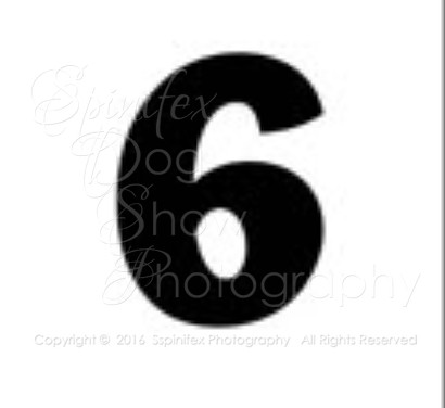 SIX