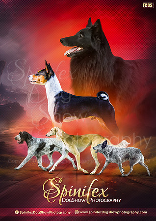 Spinifex Photography By FCDS