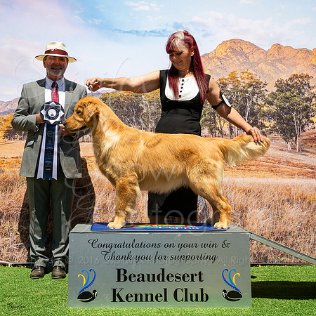 SfxP-7904