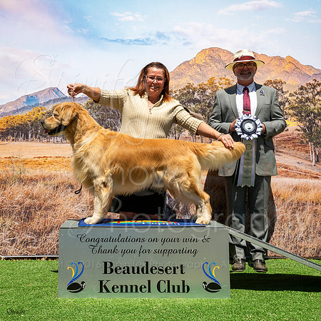 SfxP-7860