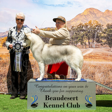 SfxP-7976