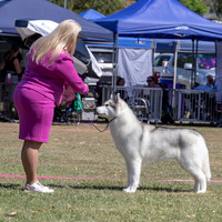 Beaudesert SAT Ringshots 2025 Oct