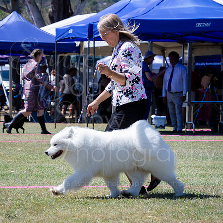 SfxJ-4986