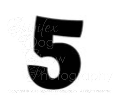 FIVE