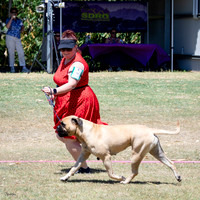 SfxJ-5104