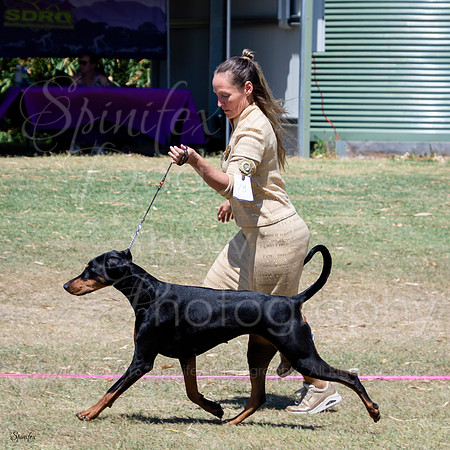 SfxJ-5110