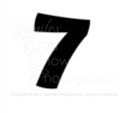 SEVEN