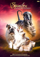 Beaudesert MON Ringshots 2025 Oct
