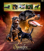 RCV National Show SAT Nov 2025