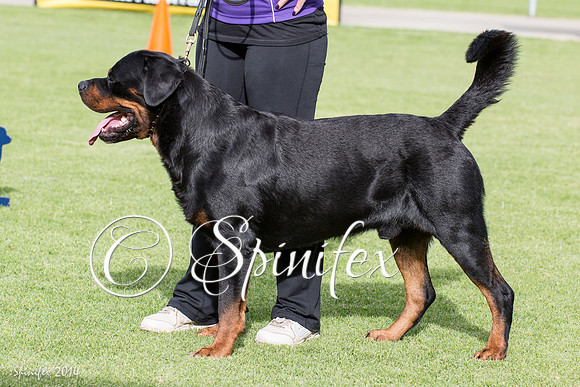 RCSAJ2014-6189