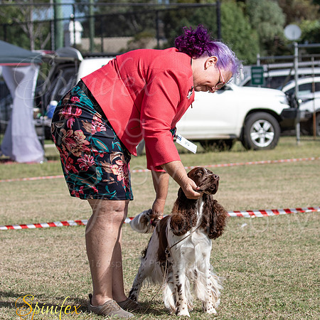 Sfx-1156
