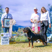 RCV National Show SUN Nov 2025