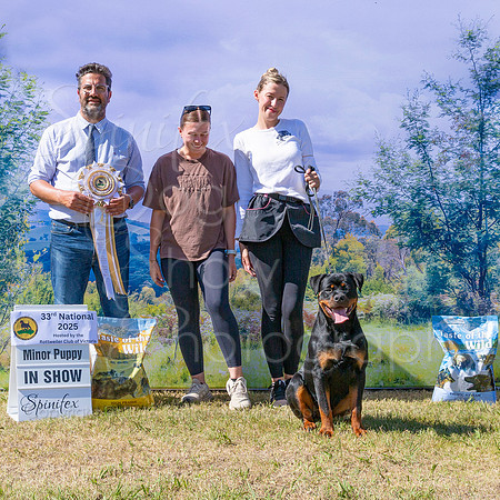 SfxP-9376