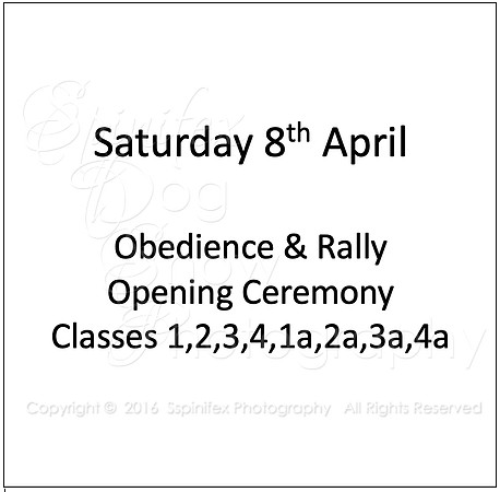 Saturday 8th April
