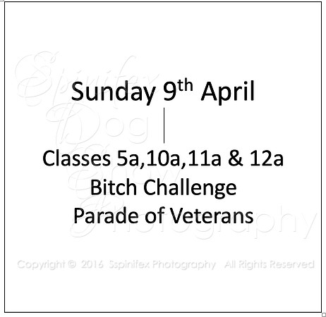 Sunday 9th