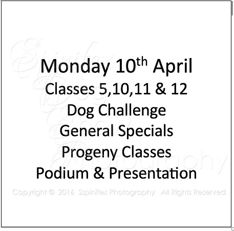Monday 10 April