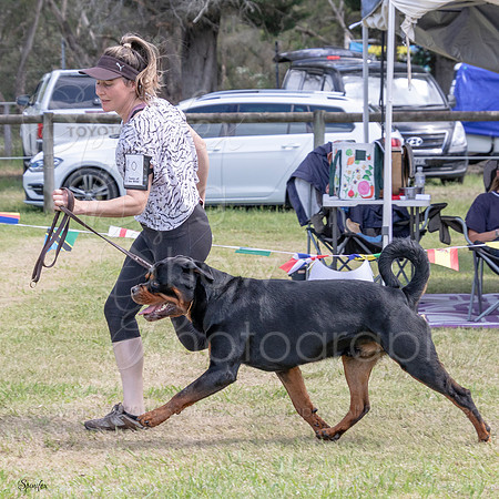 SfxJ-3899