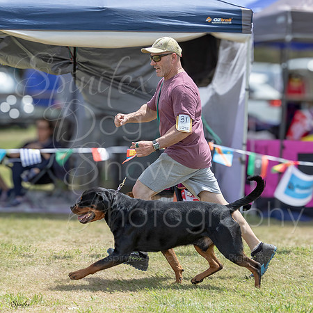 SfxJ-4149