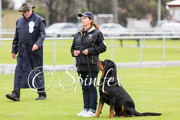 RCSAJ2014-5239