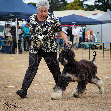 SfxJ-7483