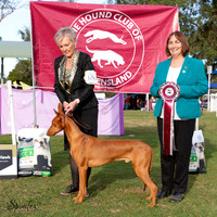 Hound Club QLD       July 2023