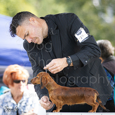 SfxY-1478