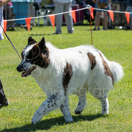 Sfx-7876