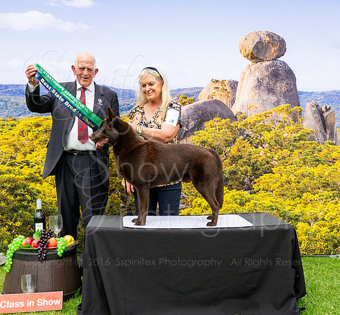 SfxP-0526