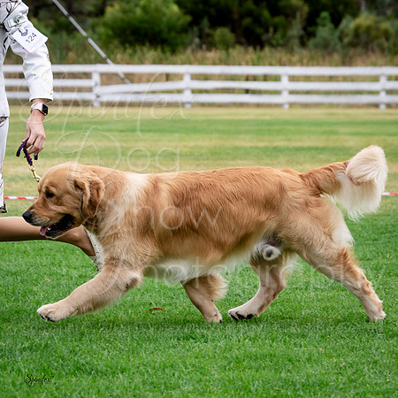 SfxJ-6238