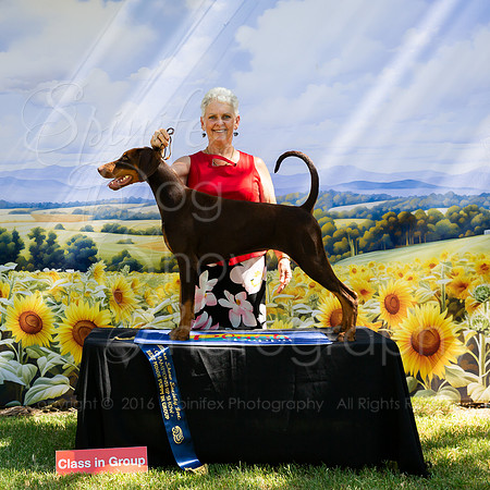 SfxP-0935