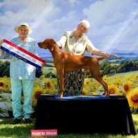 Allora Show Society Feb 2026