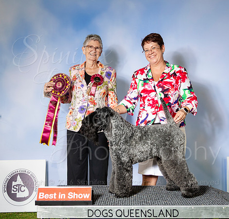SfxP-1167