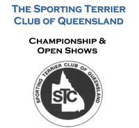 Sporting Terriers   Feb 2026