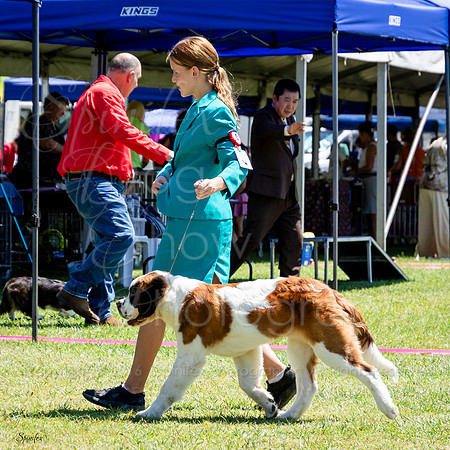 SfxJ-5930