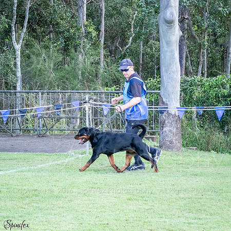 SfxJ-8280
