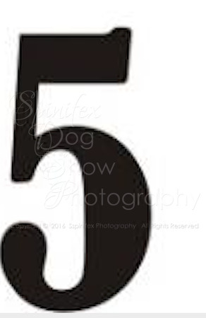 FIVE
