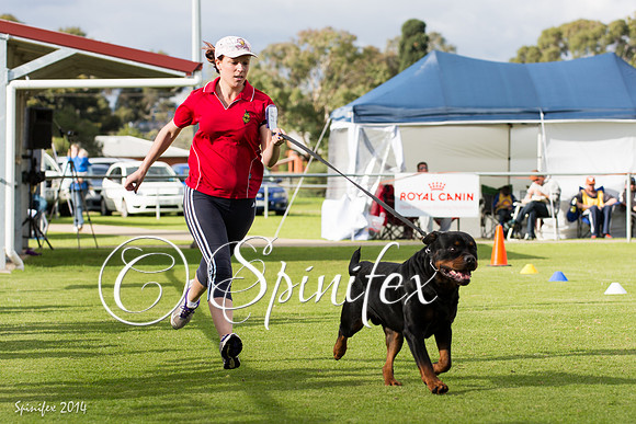 RCSAJ2014-6274