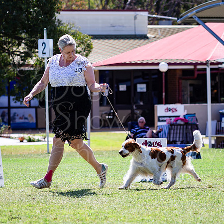 SfxV-0451