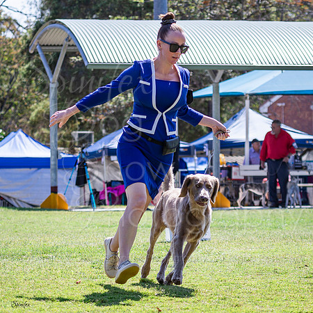 SfxV-0432
