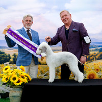 Allora Kennel Club Podium Sat Sept 2026 - Inc Fri night
