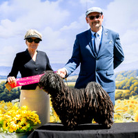 Sfx-3522